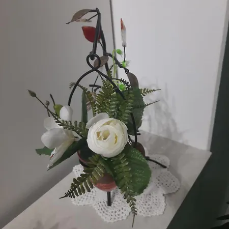 Elegante Smeraldo Conegliano